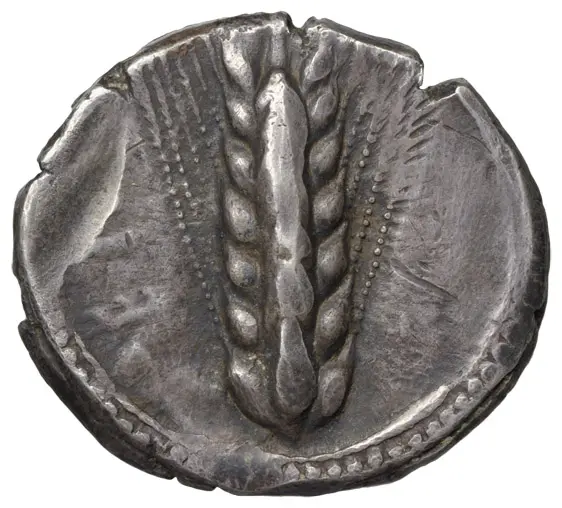 Metapont