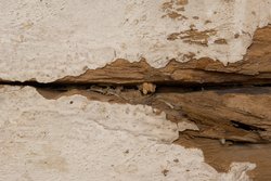 Schmalwand des Haussarges der Pai-es-tjau-em-aui-anu