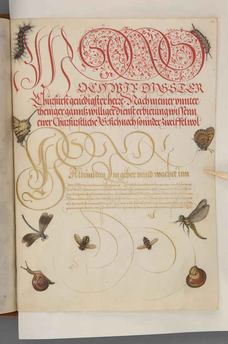 Schriftmusterbuch; 127 Blatt Pergament