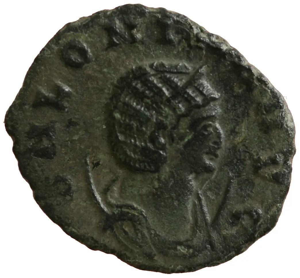 Salonina