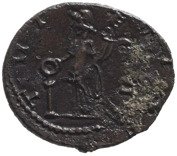 Carausius