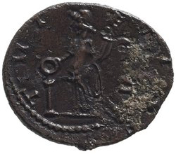 Carausius