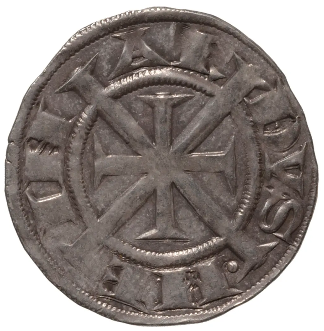 Grafen von Tirol: Meinhard II. (1258–1295)
