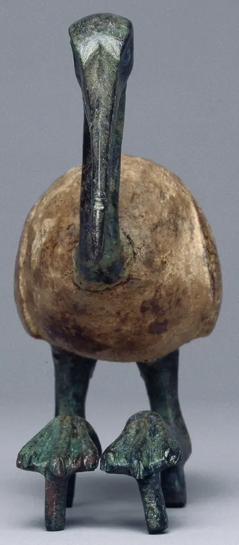 Sitzender Ibis