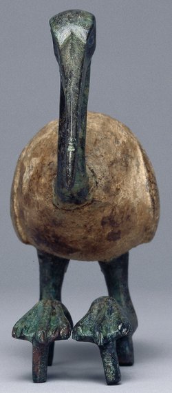Sitzender Ibis