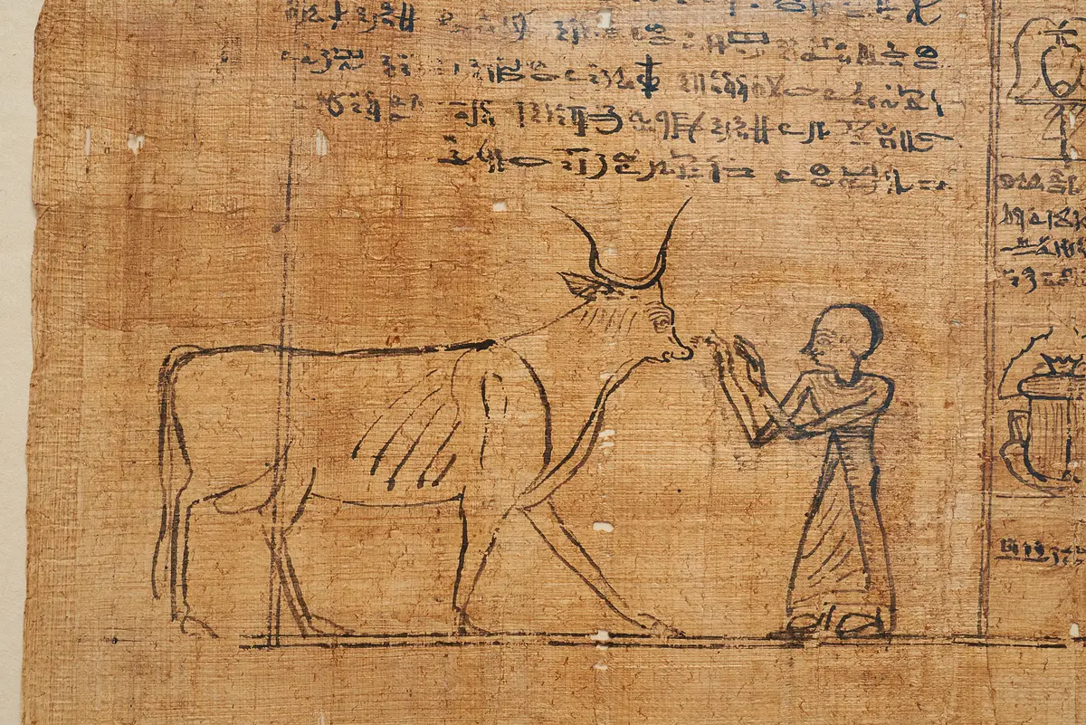 Totenbuch des Hor
