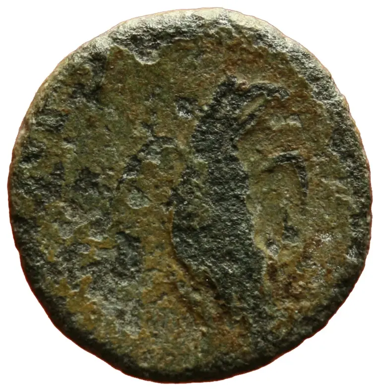 Divus Claudius II.