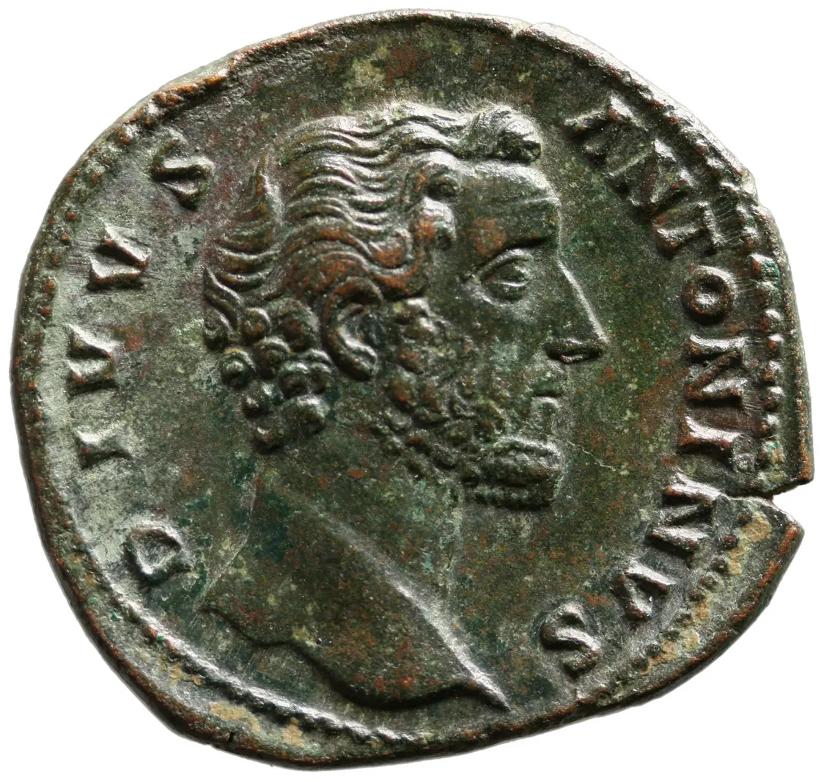 Divus Antoninus Pius