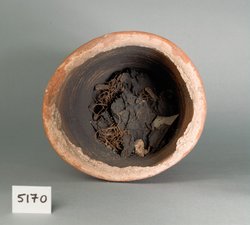 Ibismumie in kegelförmigem Tongefäß