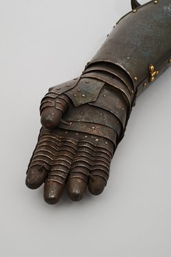 Armzeug, um wilde Tiere zu fangen / Jagdhandschuh