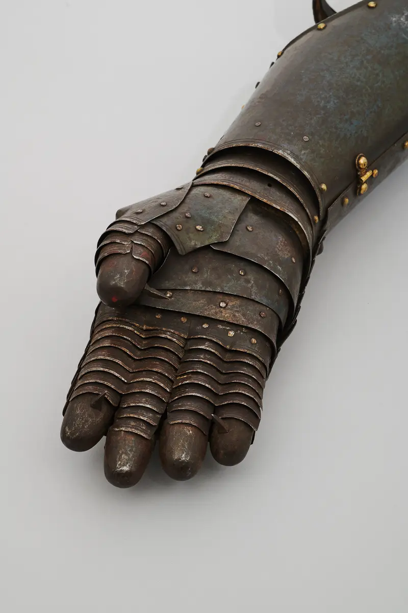 Armzeug, um wilde Tiere zu fangen / Jagdhandschuh