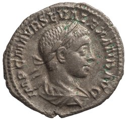Severus Alexander