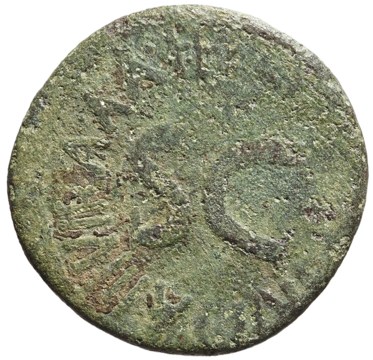 Augustus