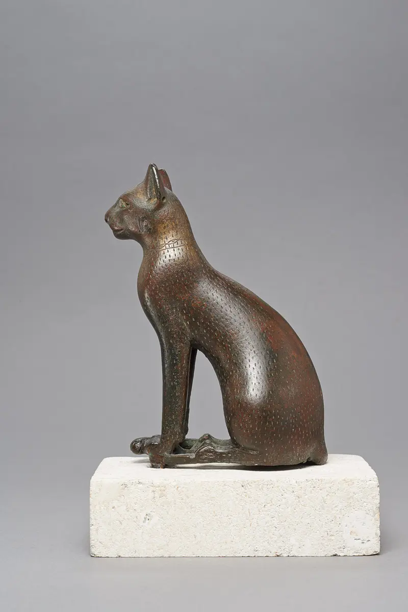 Sitzende Katze