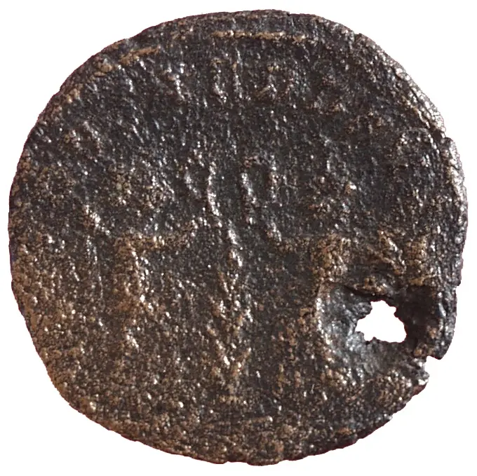 Constans