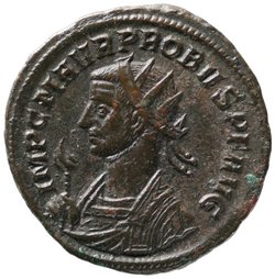Probus