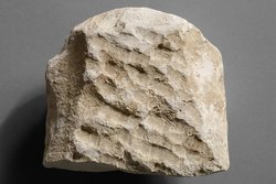 Stele