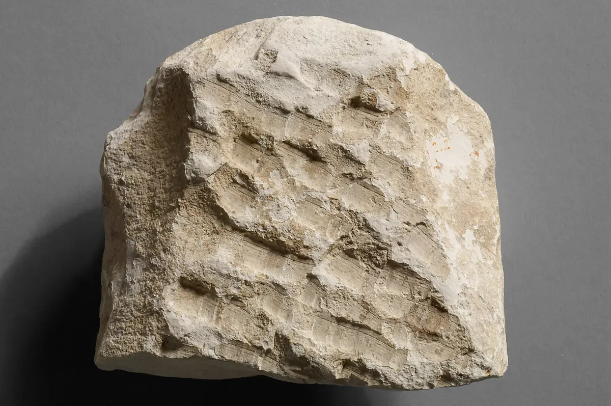 Stele