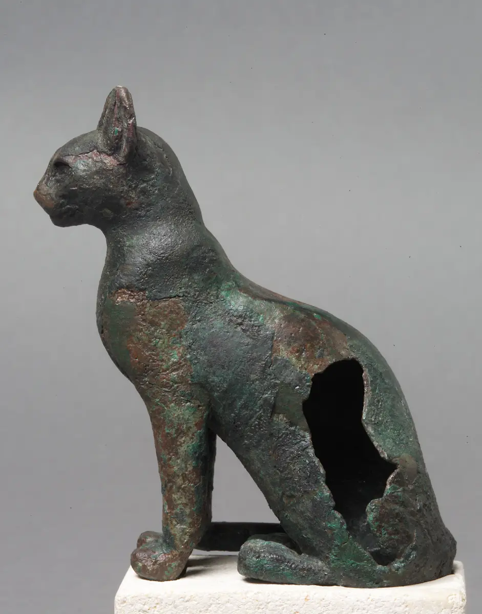 Katze