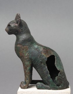 Katze