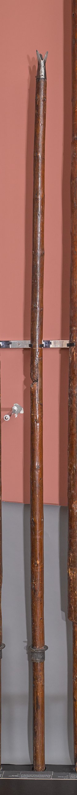 leichte Stechlanze