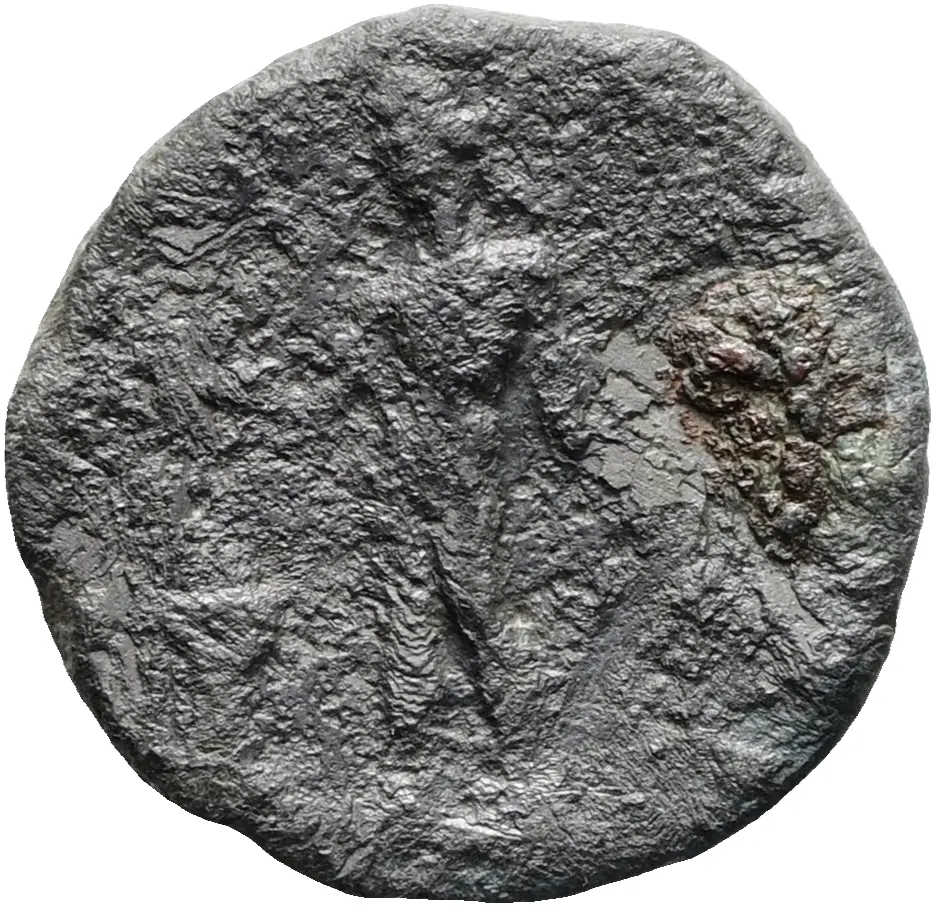 Septimius Severus (Falsum)
