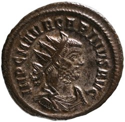 Carinus