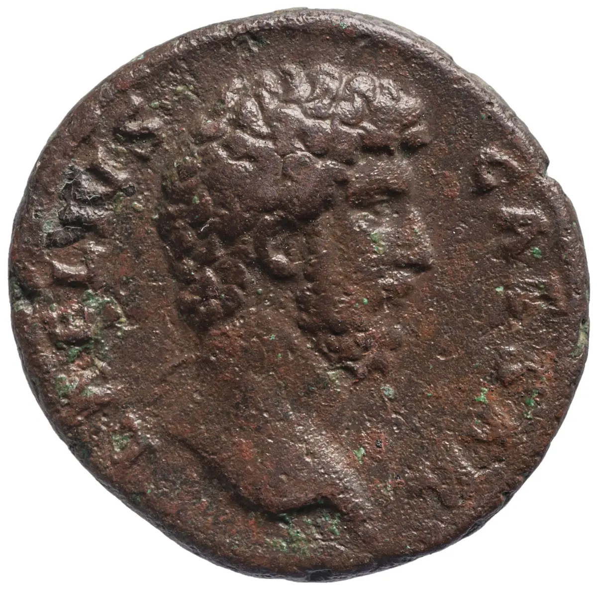Lucius Aelius