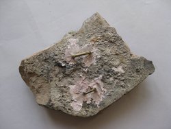 Fragment aus der Mitte einer Aufsatzplatte(?): Weibliche Figur zwischen Spiralbändern