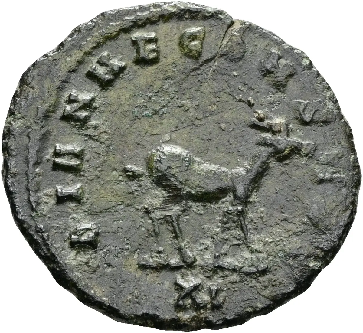 Münze