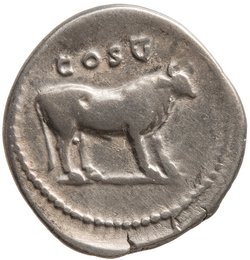 Vespasianus für Titus