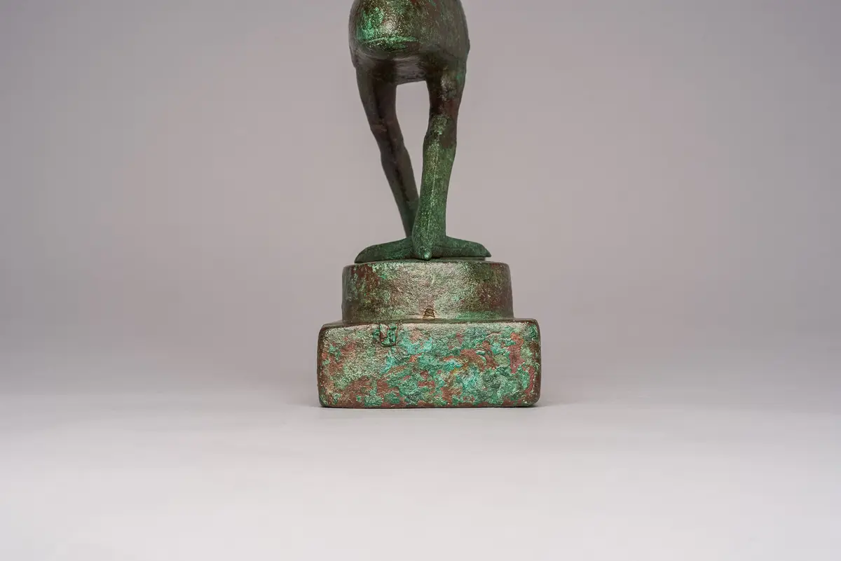 Schreitender Ibis