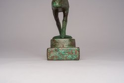 Schreitender Ibis