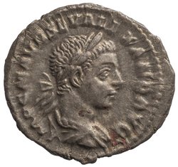 Severus Alexander