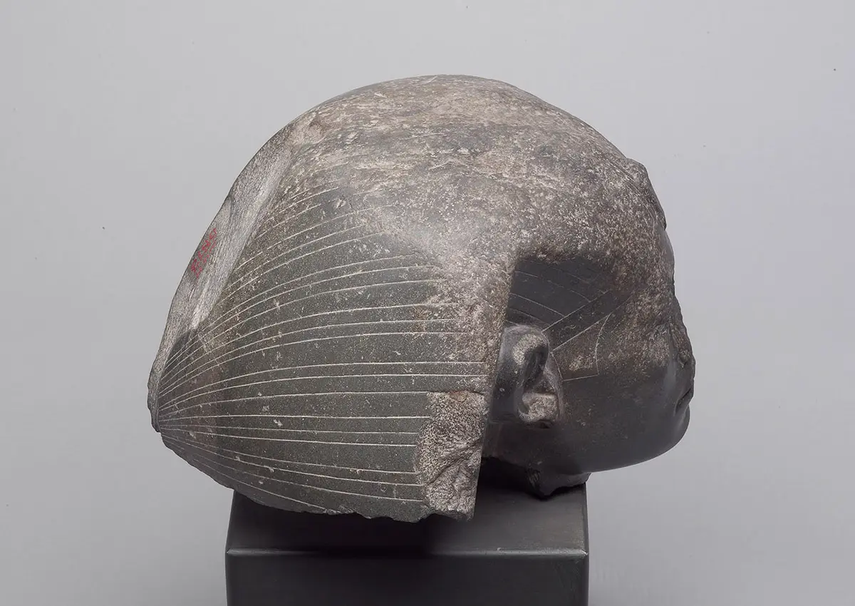 Head from a sphinx of Senwosret III 