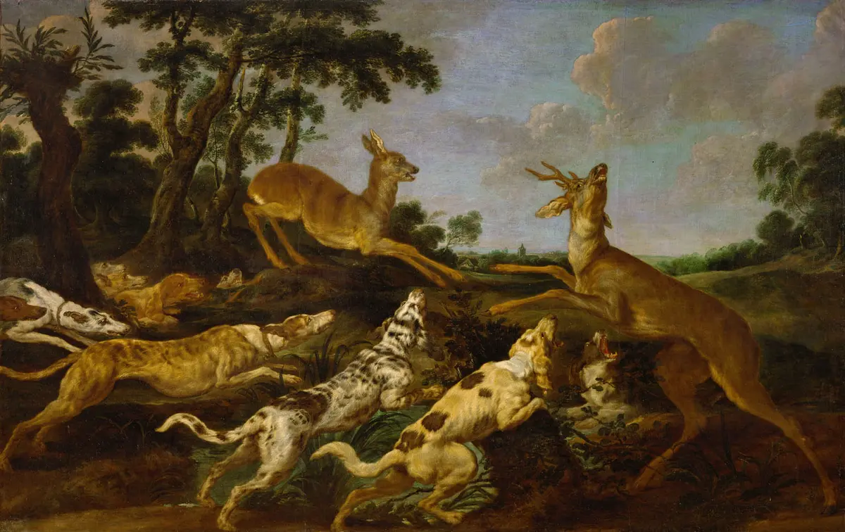 Jagd auf Rehe
