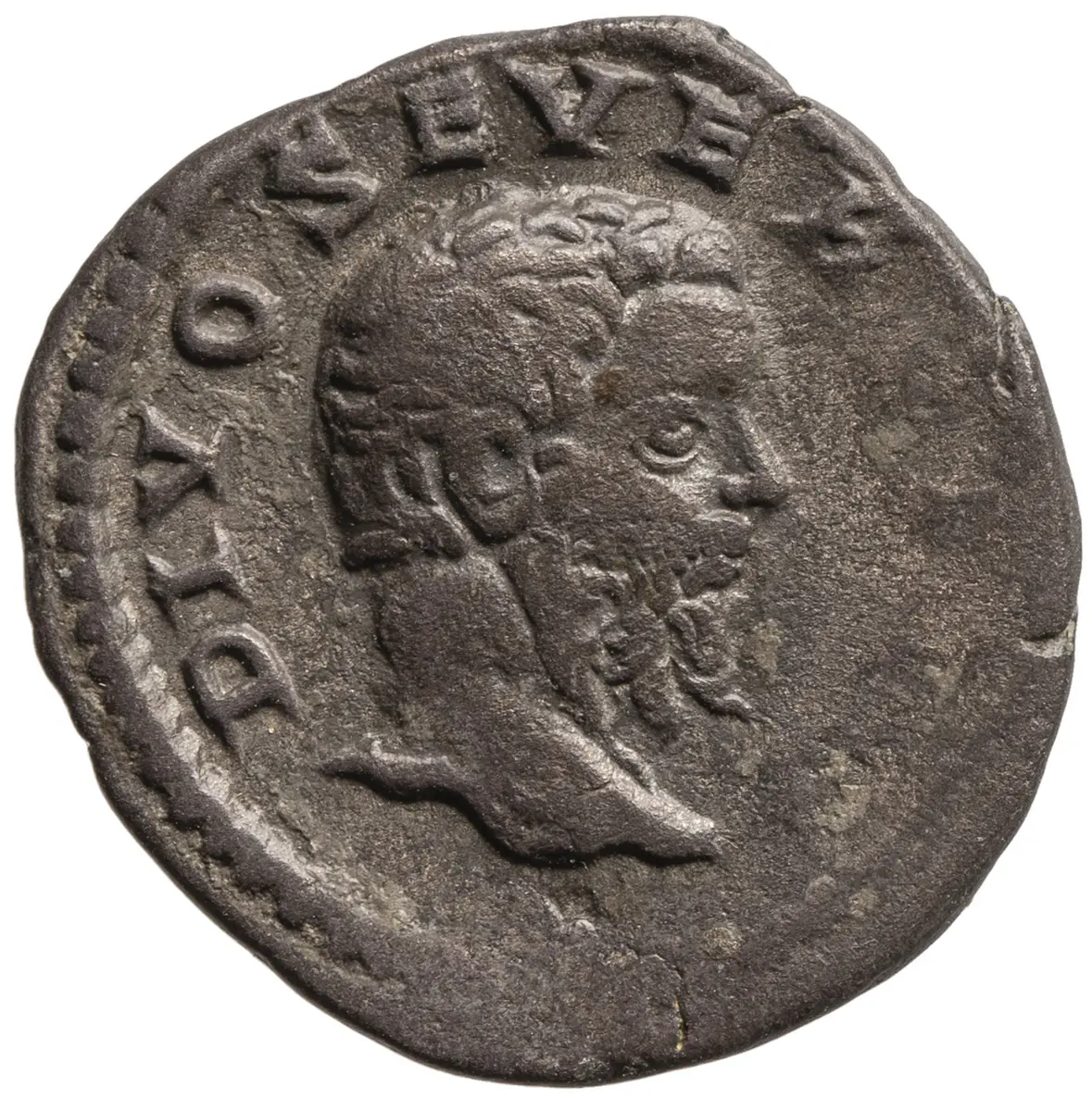 Divus Septimius Severus