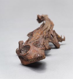 Mumifizierter Körper eines kleinen Krokodils