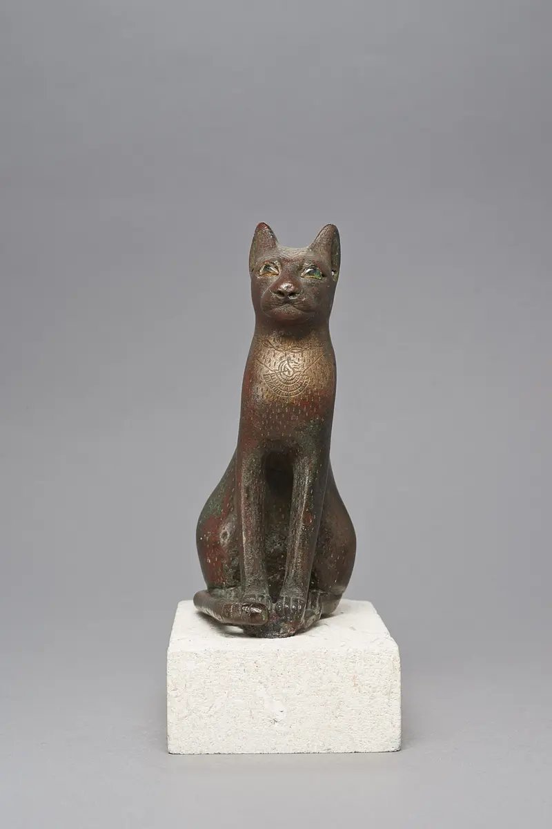 Sitzende Katze