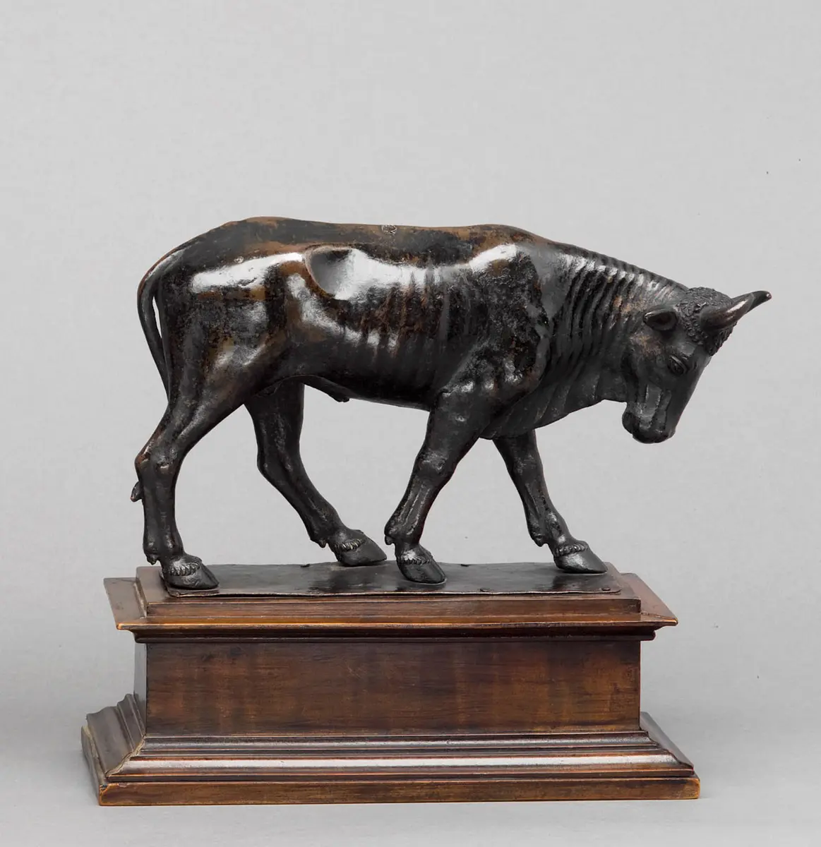 Schreitender Stier