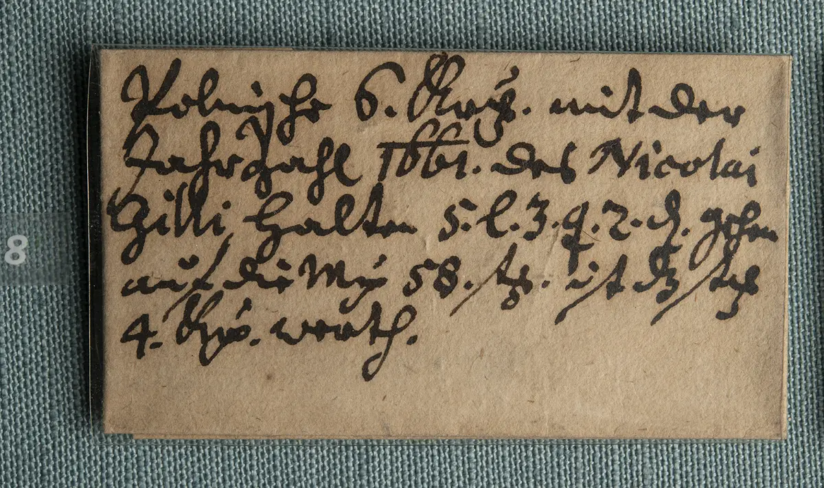 Polen: Johann II. Kasimir