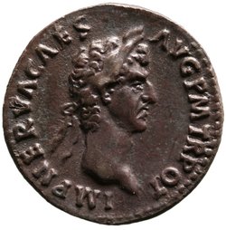 Nerva
