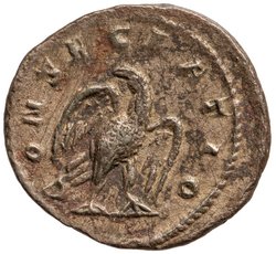 Divus Marcus Aurelius