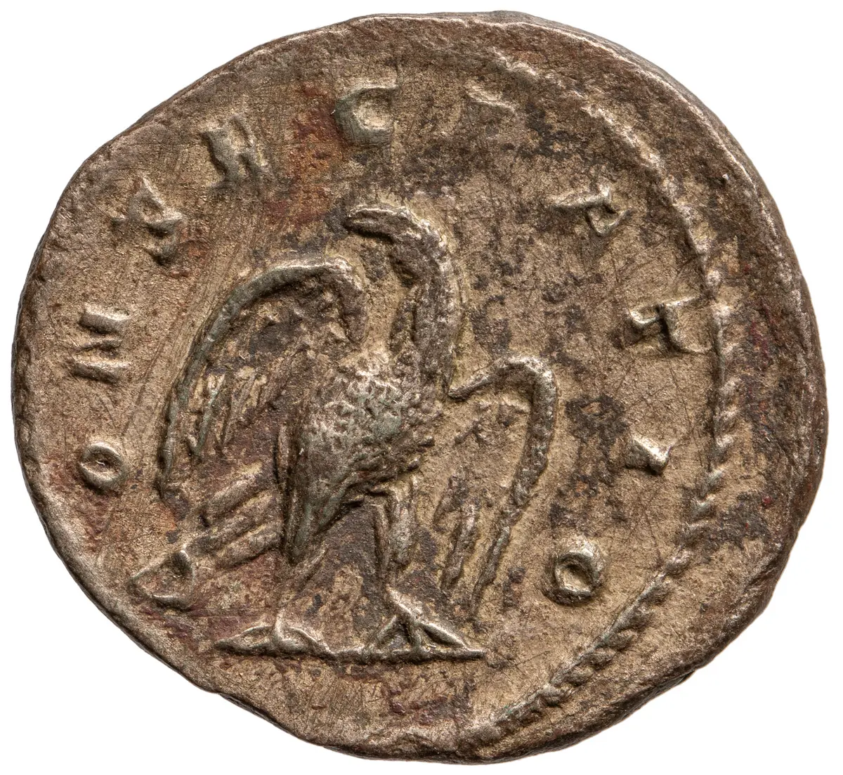 Divus Marcus Aurelius