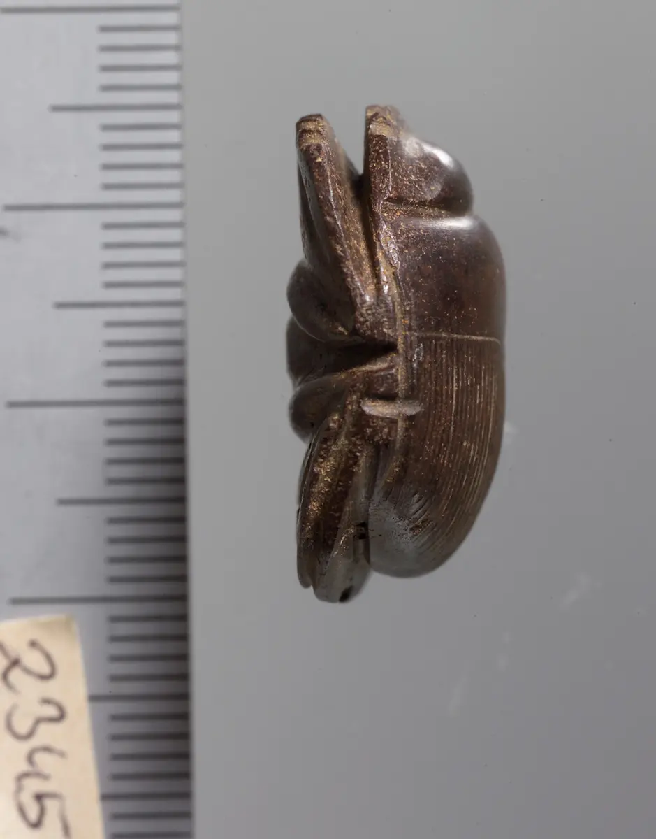 Mumienskarabäus