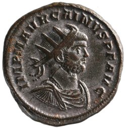 Carinus