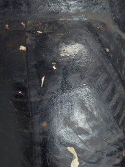 Mumie der Tamit in Kartonagehülle