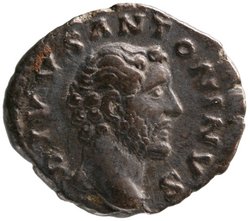 Divus Antoninus Pius