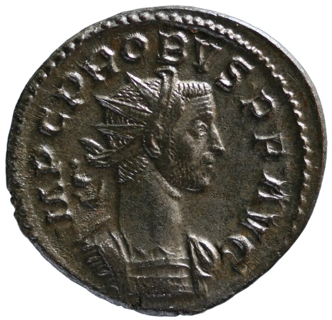 Probus