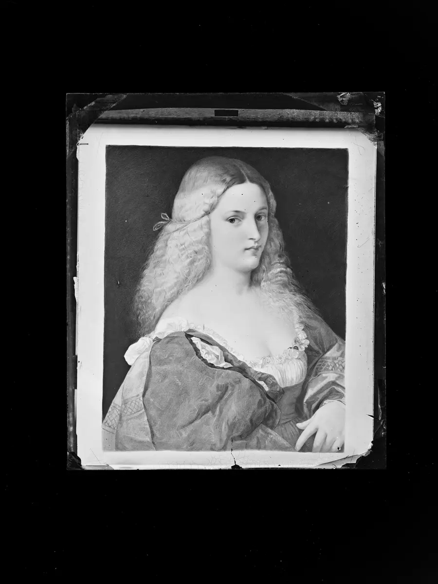 Violante